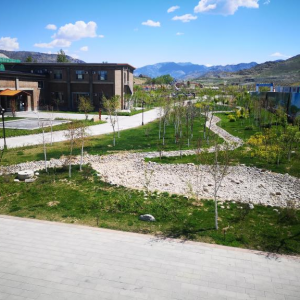 喜報丨我司項目榮獲2022年度長沙市園林綠化優質工程獎